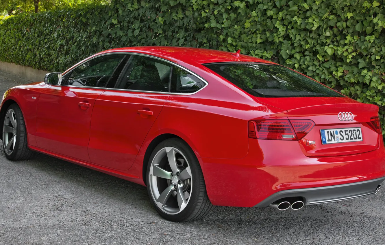 Фото обои Audi, Red, Back, Sportback, (2015), Weiv