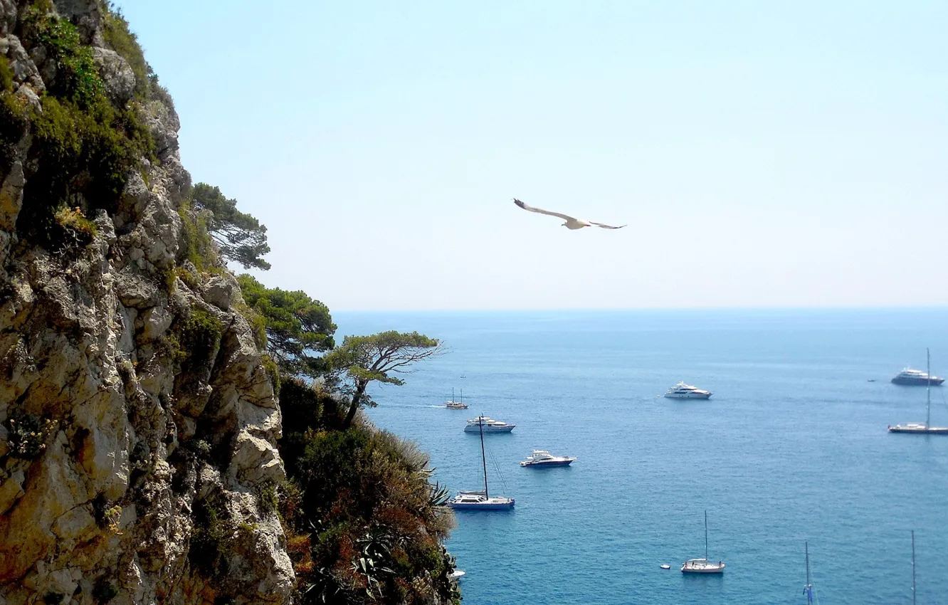 Фото обои море, скала, берег, яхты, Капри