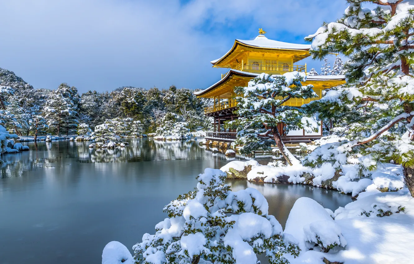 Фото обои зима, снег, деревья, пруд, парк, Япония, храм, Japan
