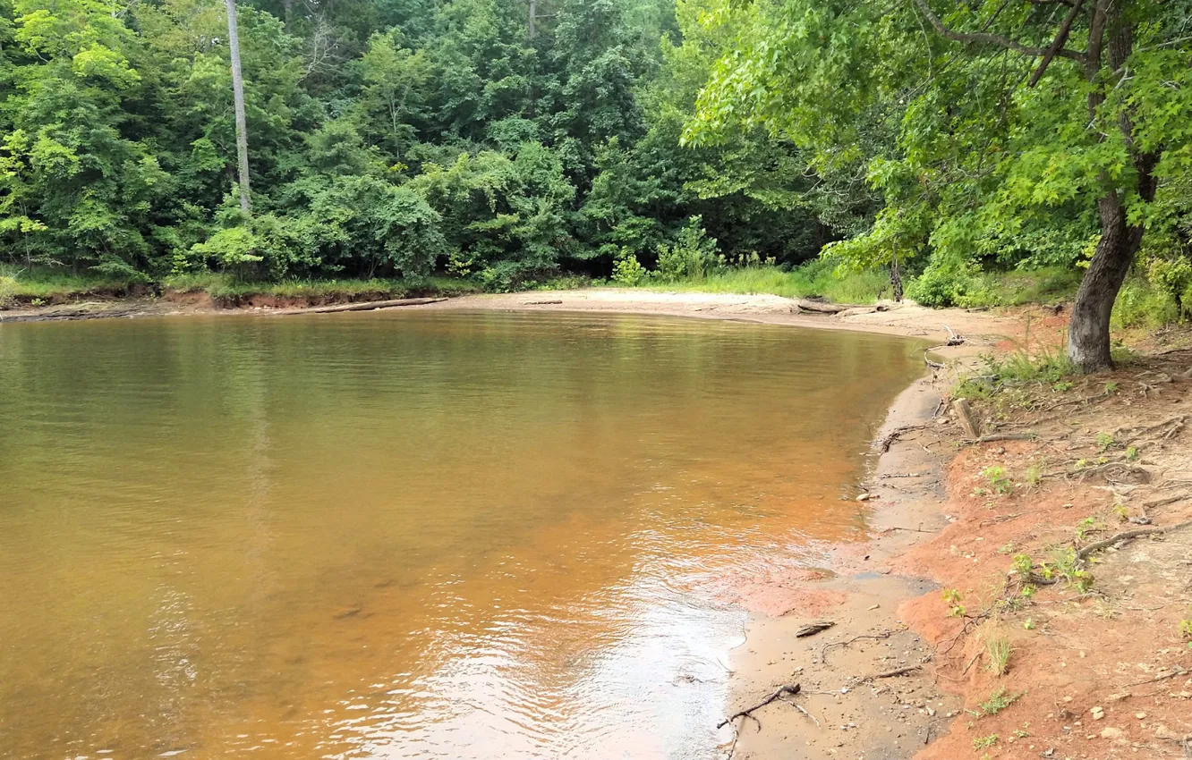 Фото обои North Carolina, Lake, Raleigh, Falls Lake