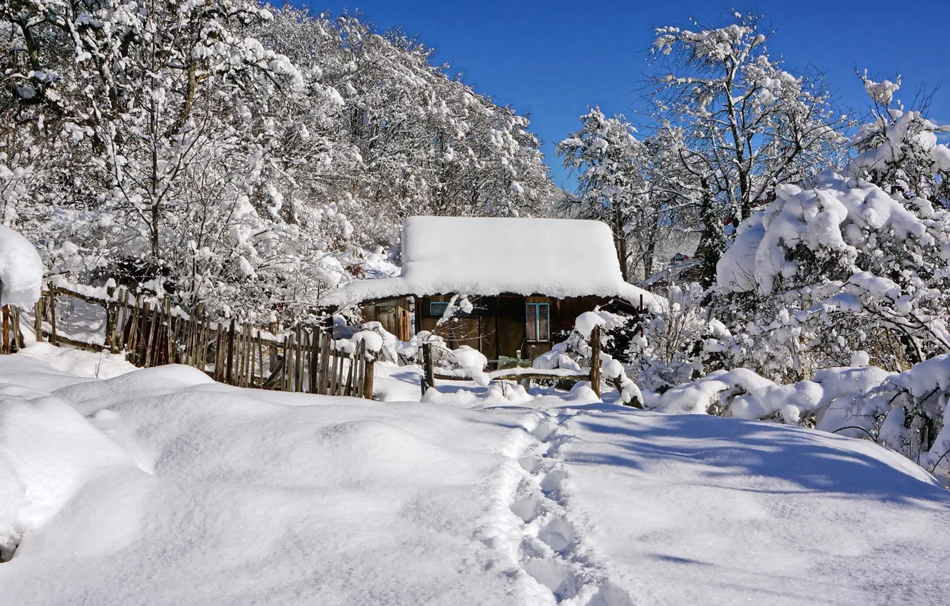 Фото обои зима, снег, домик, тропинка