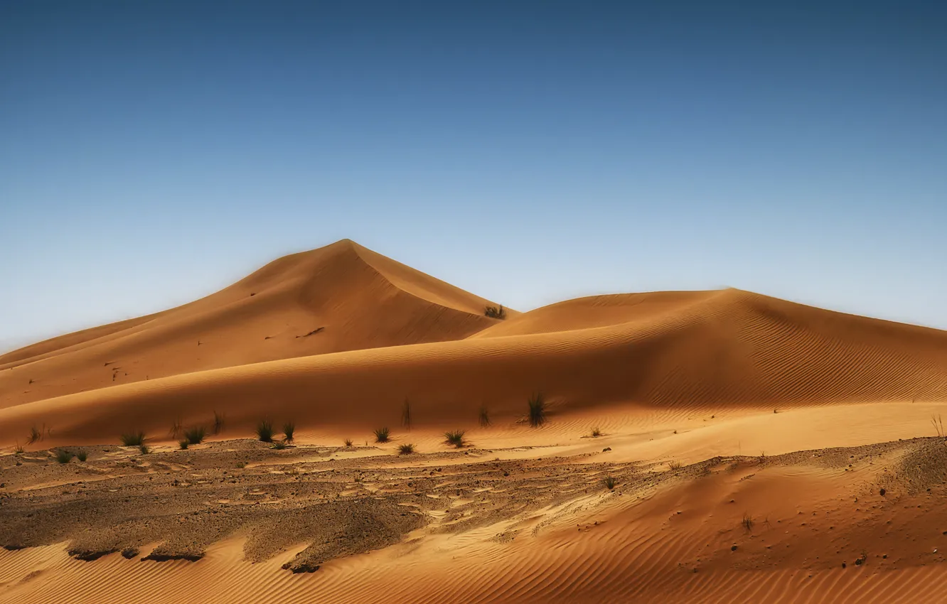 Фото обои песок, трава, природа, пустыня, дюны, dune, небо., dunes
