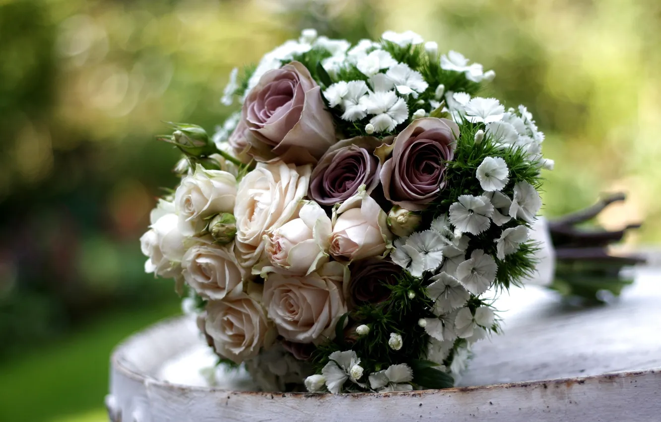 Фото обои цветы, розы, букет, гвоздика, композиция