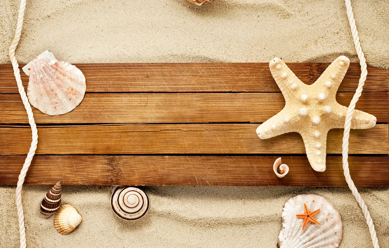 Фото обои песок, улитка, ракушки, морская звезда