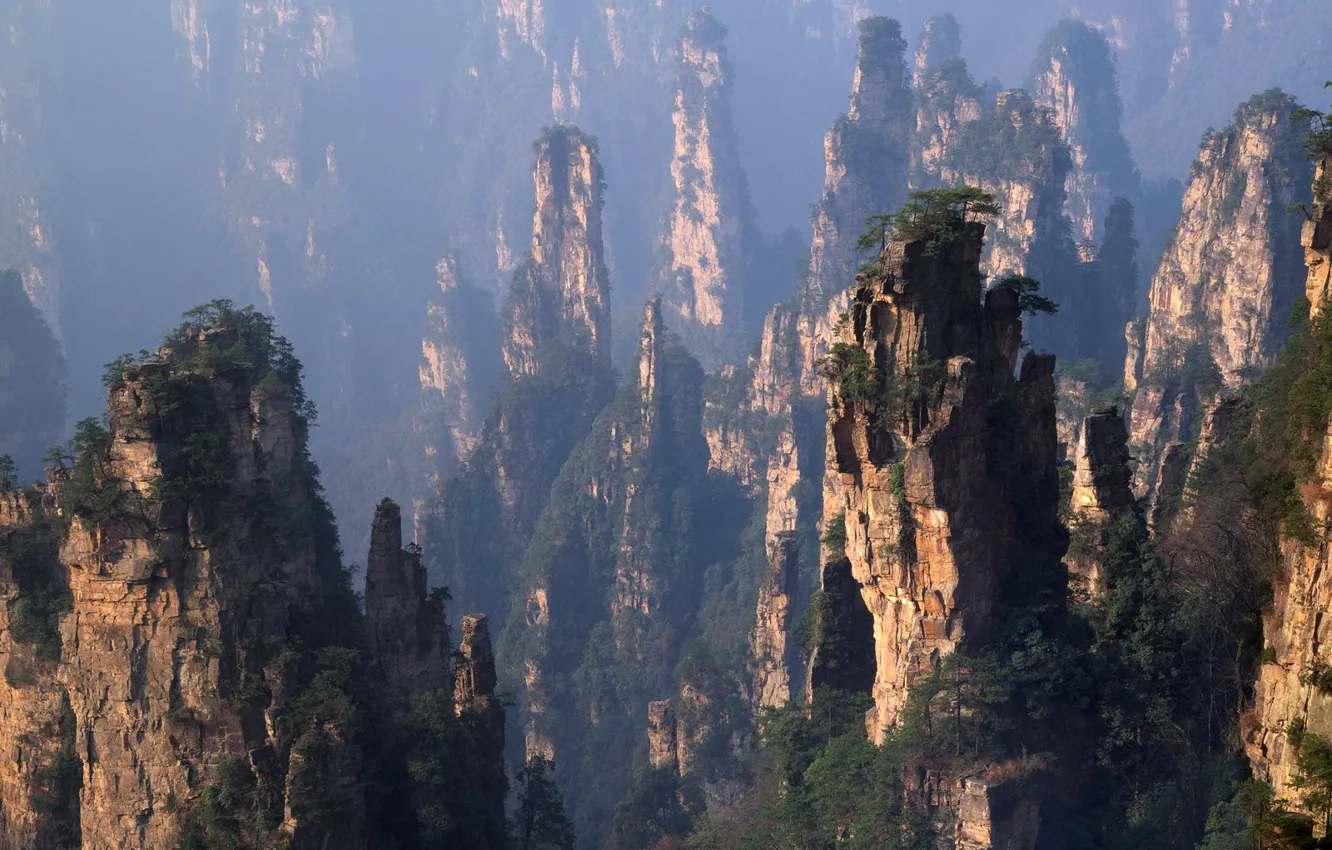 Фото обои Горы, Лес, Китай