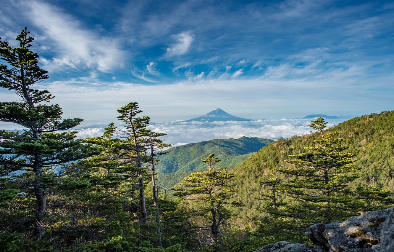 Фото обои лес, небо, горы, Фудзияма