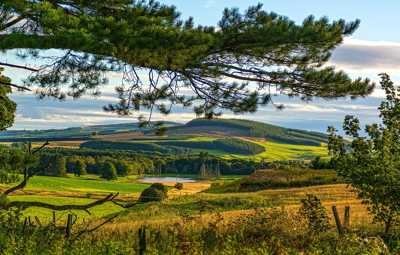 Фото обои зелень, лето, солнце, деревья, озеро, холмы, поля, Шотландия