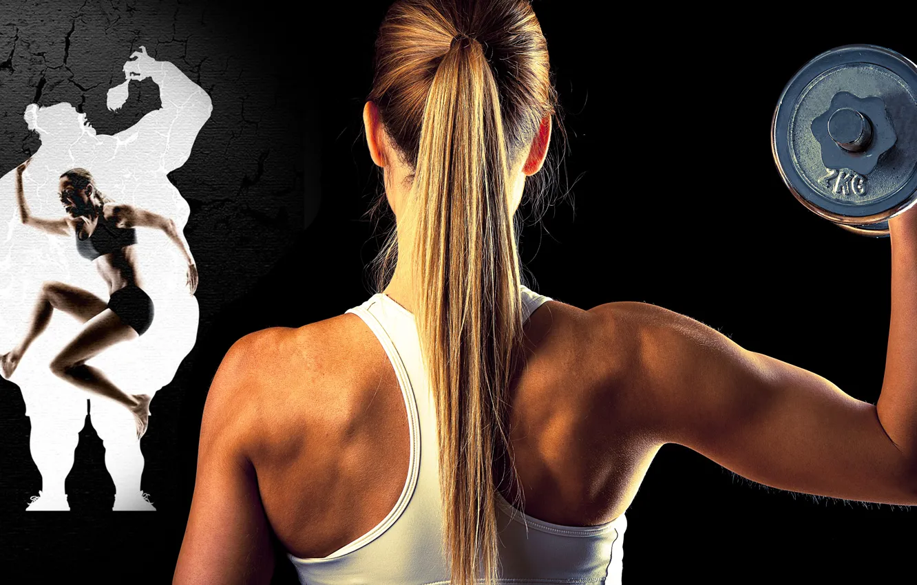 Фото обои sport, gym fitness, body building, fit body