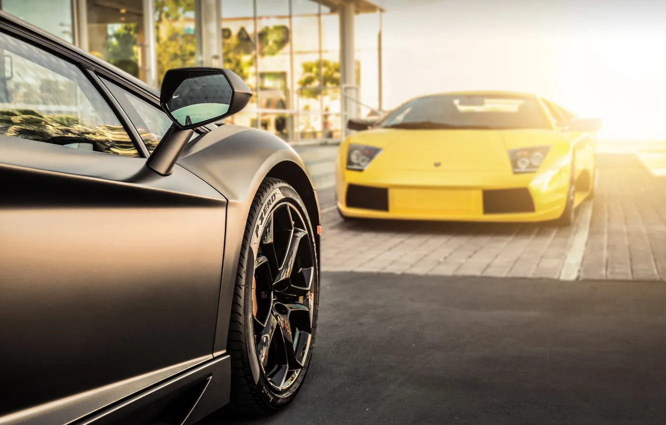 Фото обои желтый, черный, Lamborghini, ламборджини, murcielago, Aventador, авентадор