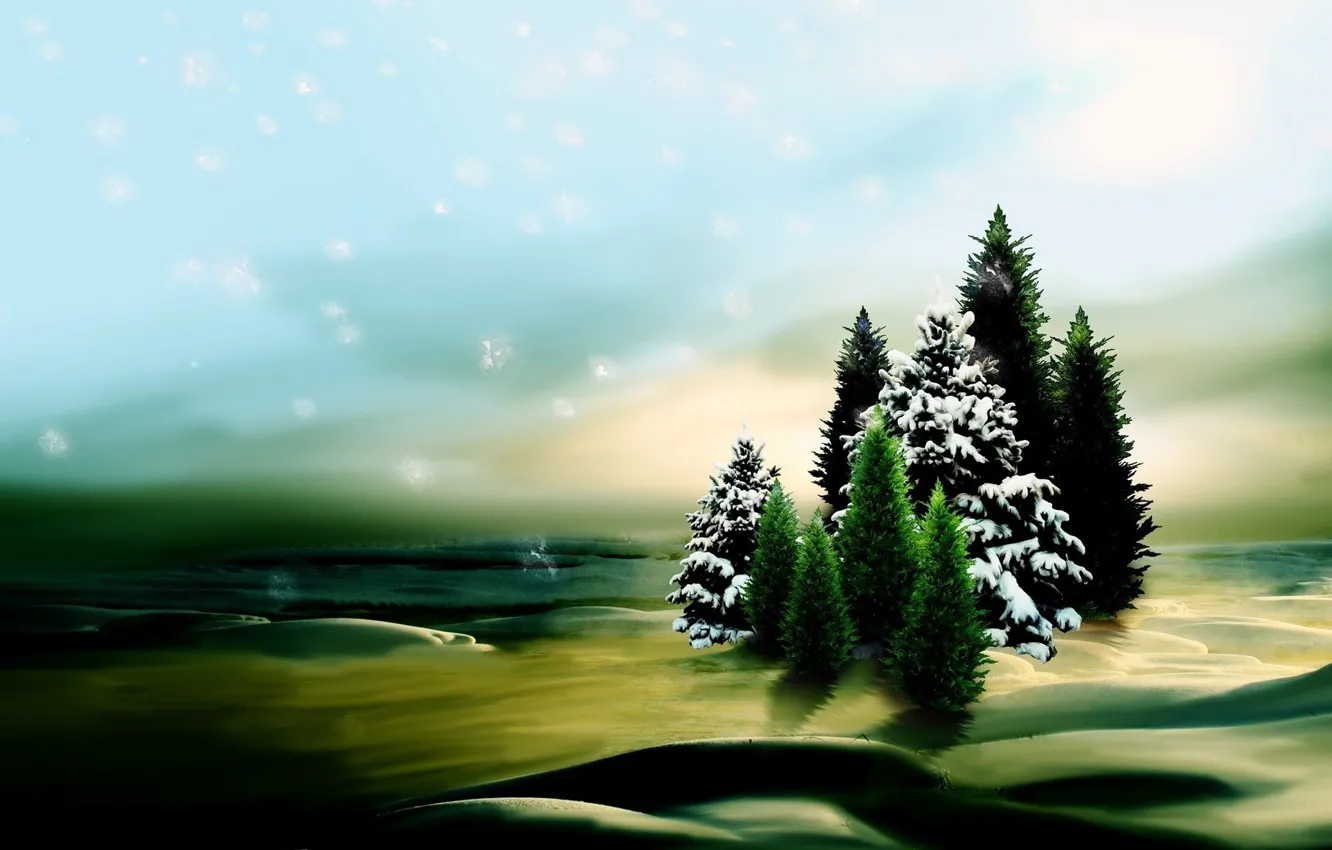 Фото обои зима, небо, елки, ели, ёлки