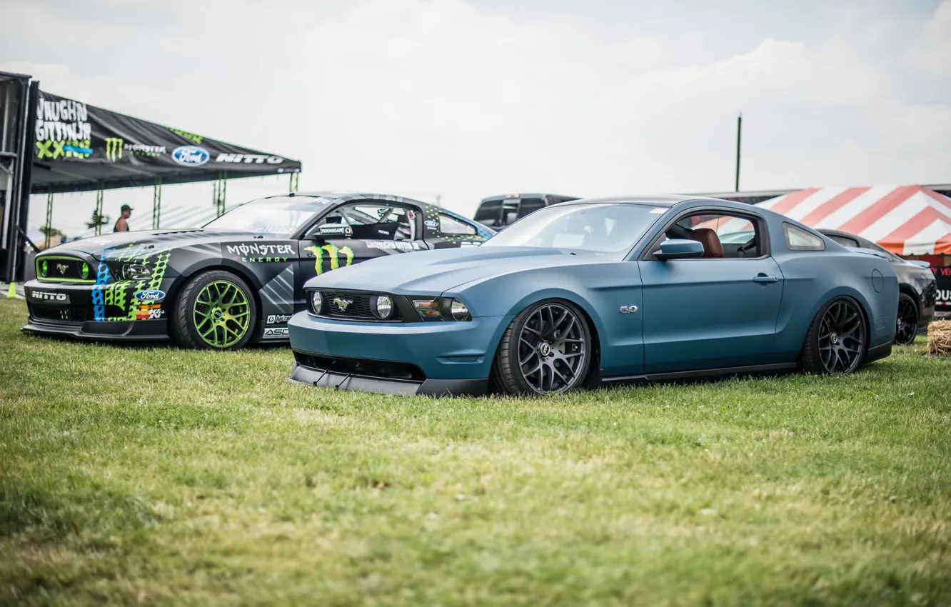 Фото обои трава, green, Mustang, Ford, два, blue
