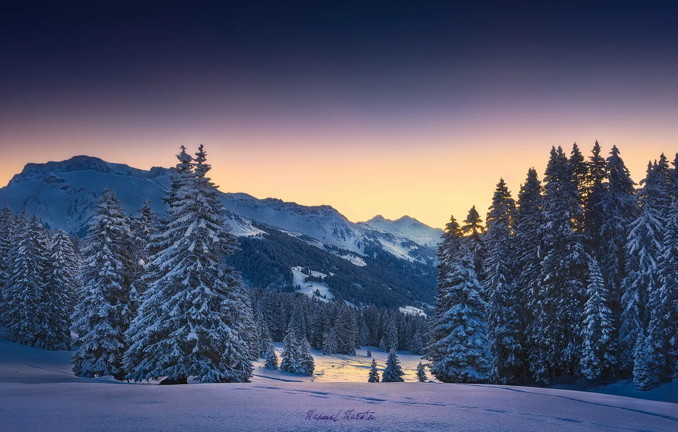 Фото обои зима, лес, снег, горы, утро, Альпы