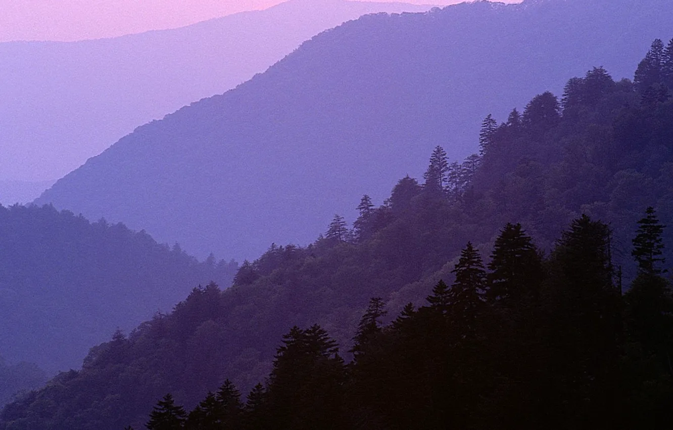 Фото обои деревья, горы, природа, USA, сумерки, Great Smoky Mountains National Park