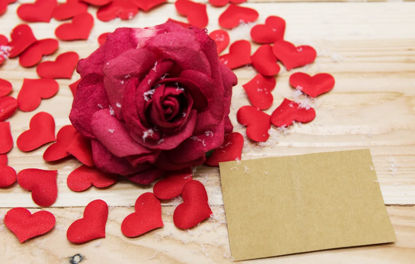 Фото обои Роза, сердечки, Праздник, день влюбленных, открытка