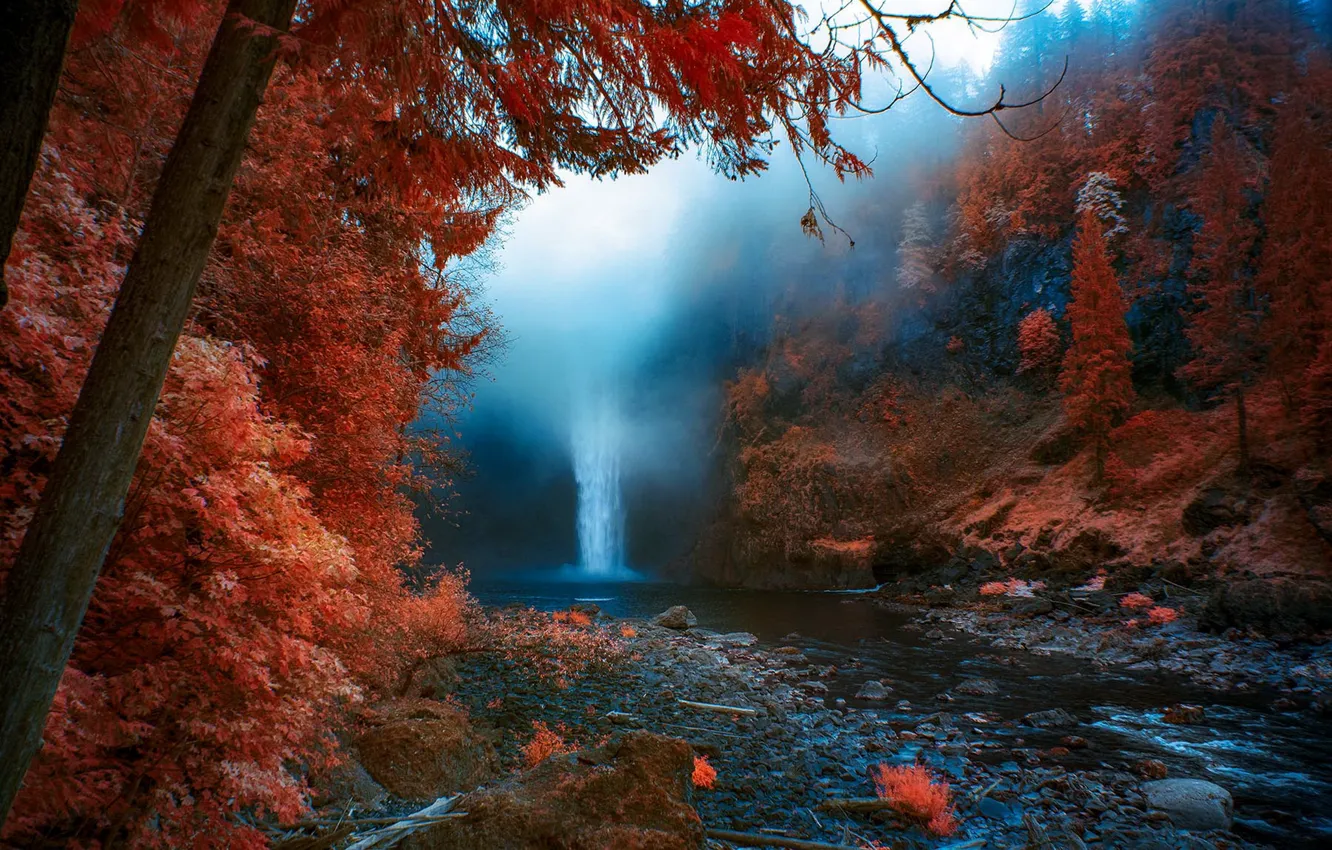 Фото обои осень, природа, туман, водопад, United States, Washington, Snoqualmie Falls