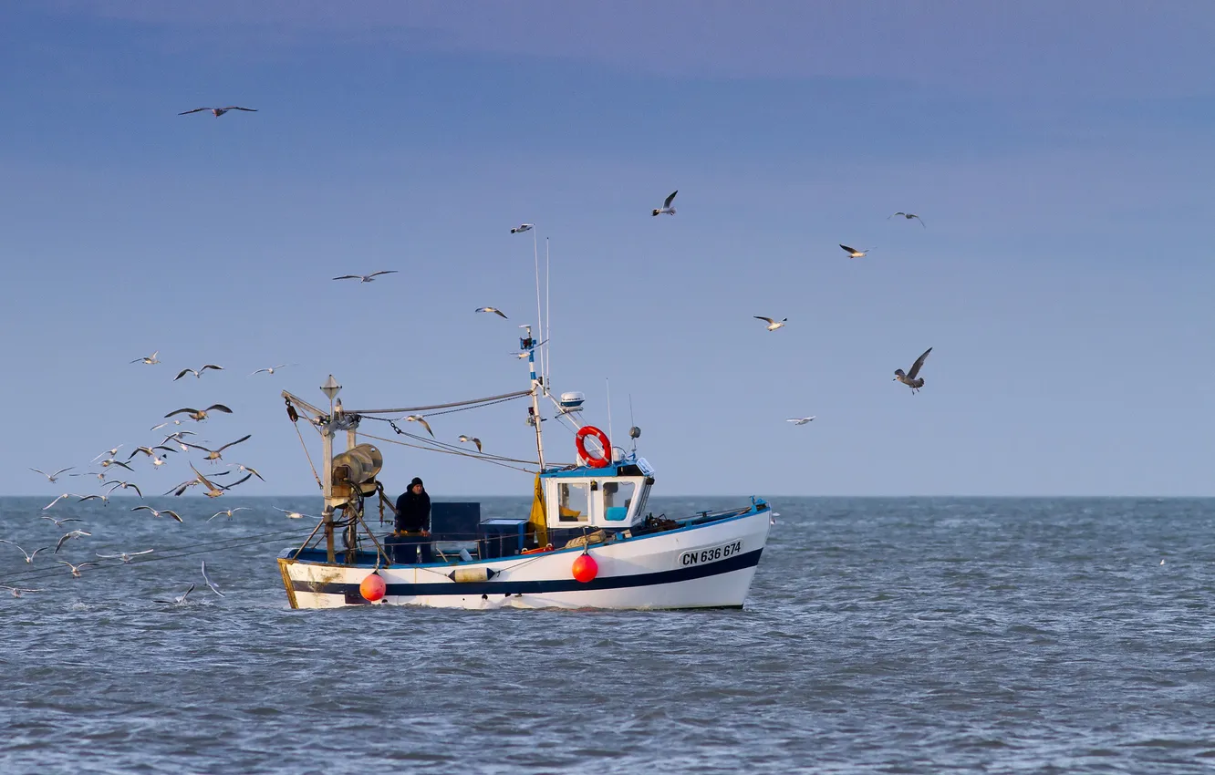 Фото обои море, лодка, чайки, рыбаки