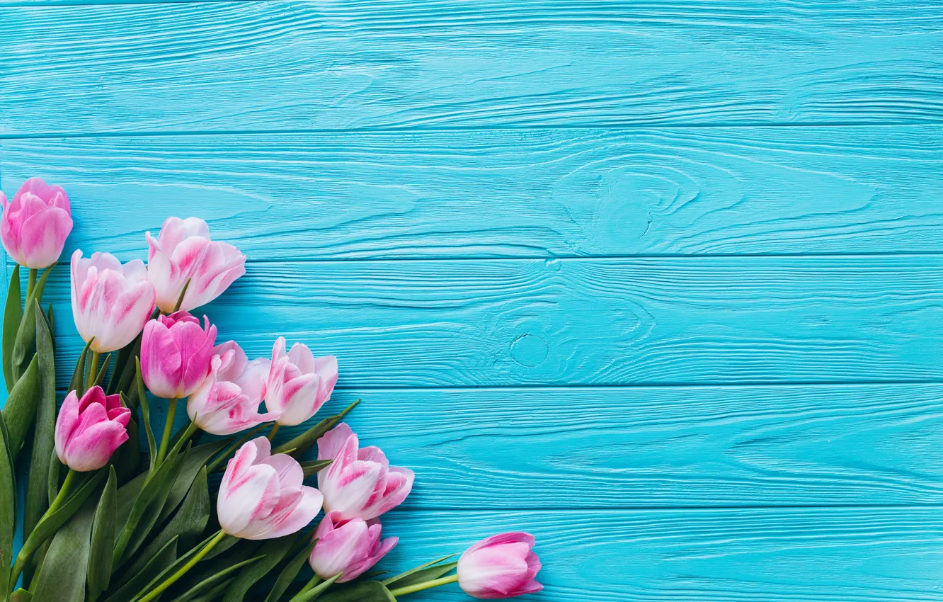 Фото обои цветы, тюльпаны, розовые, fresh, wood, pink, flowers, beautiful