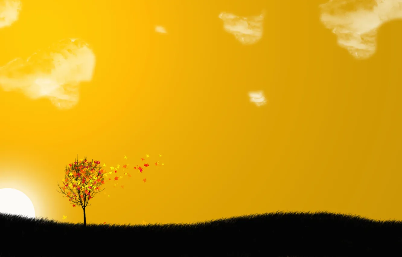 Фото обои небо, листья, деревья, оранжевый