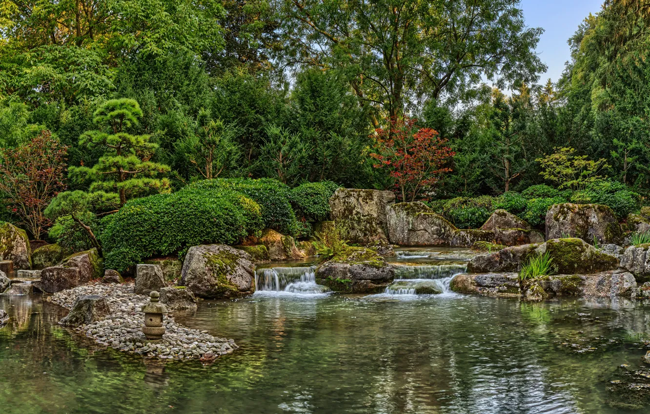 Фото обои зелень, деревья, пруд, парк, камни, Германия, кусты, Japanese Garden