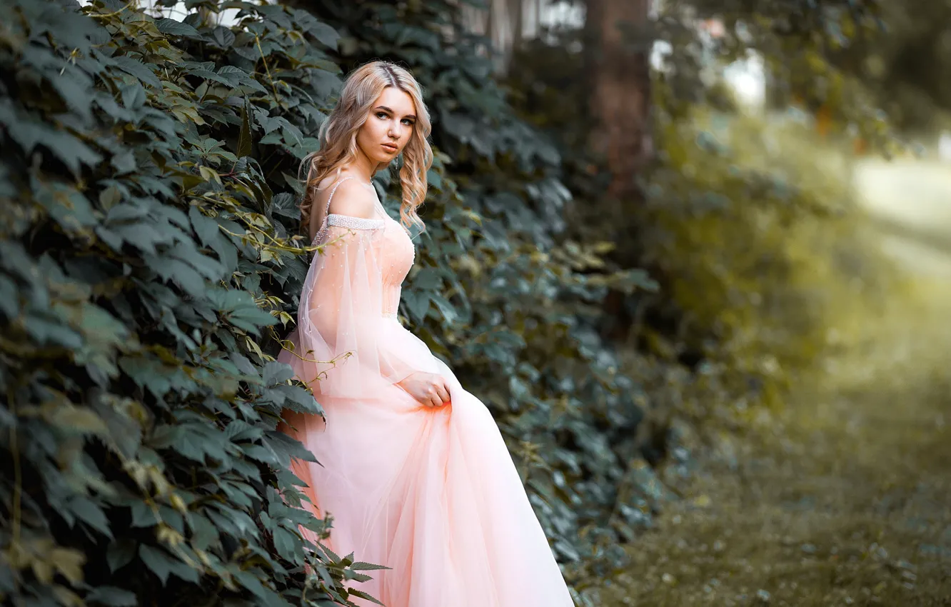Фото обои девушка, природа, платье, блондинка, локоны, плющ, Максим Чурляев