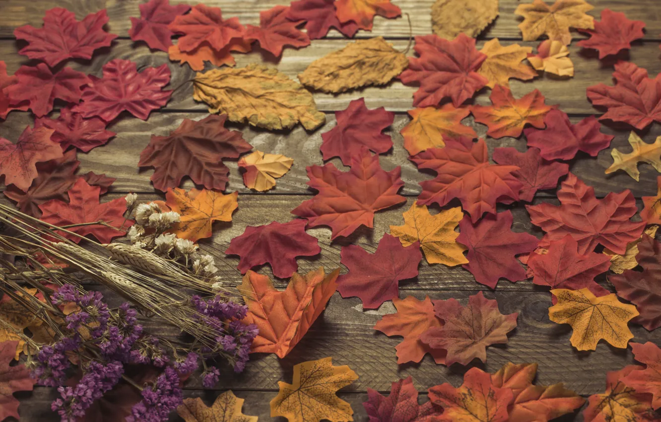 Фото обои осень, листья, фон, colorful, wood, background, autumn, leaves