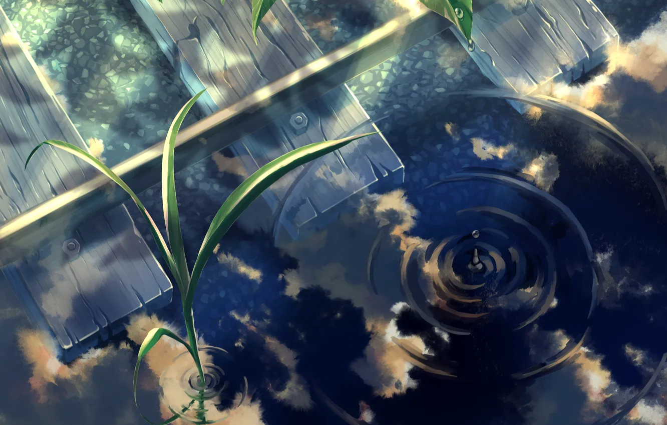 Фото обои вода, ростки, рельсы