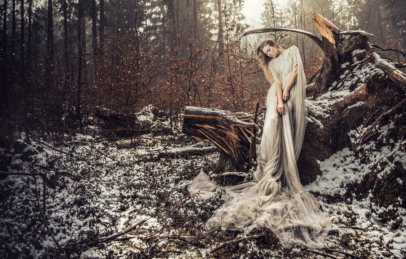 Фото обои лес, девушка, снег, поза, ситуация, платье, коряга, VOODOO Wonderland