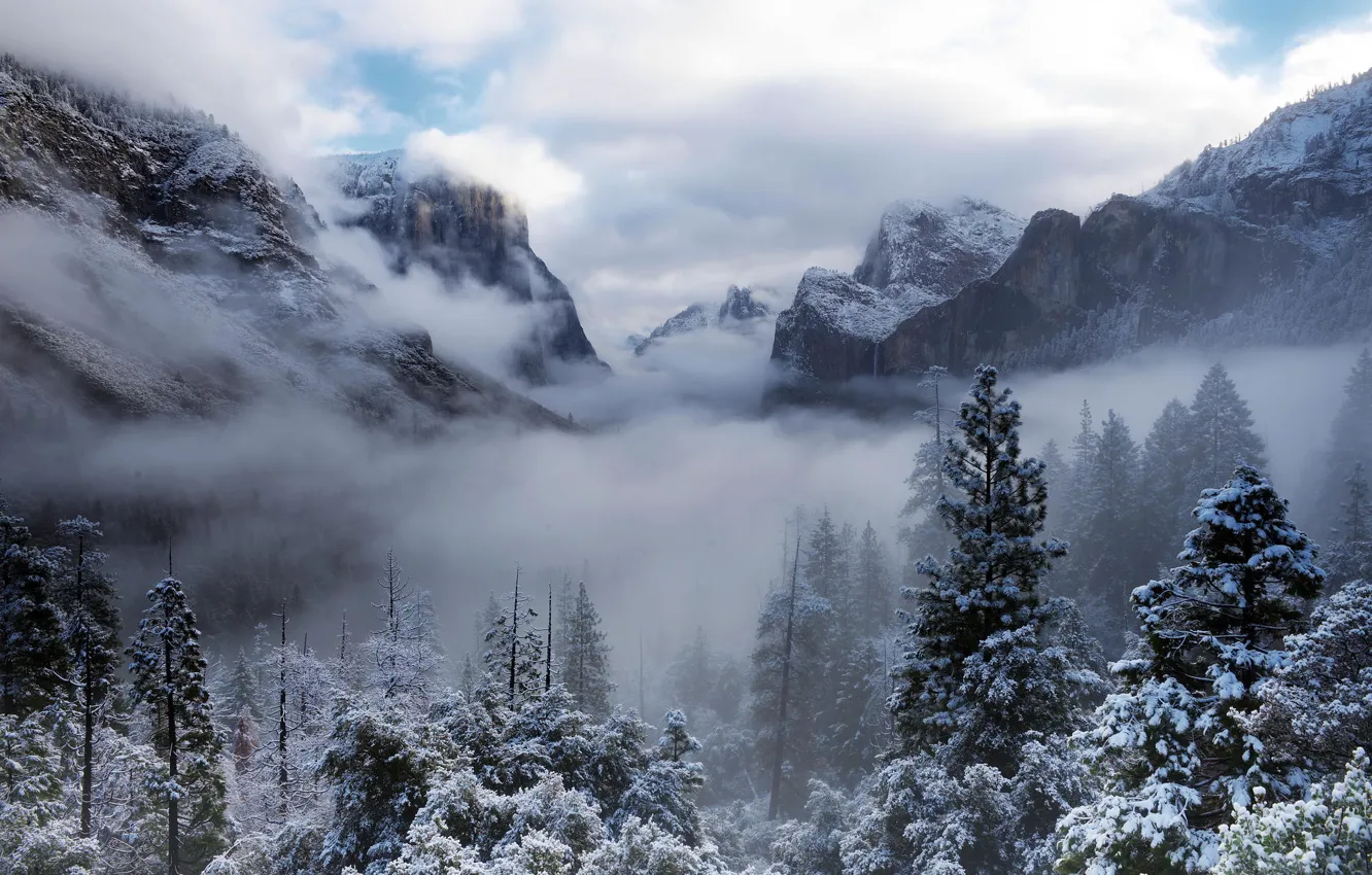 Фото обои зима, лес, облака, снег, деревья, горы, природа, туман