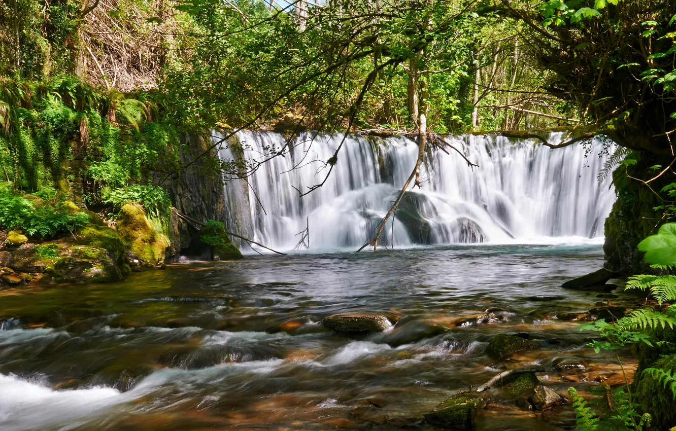 Фото обои лес, деревья, природа, водопад, поток, forest, trees, nature