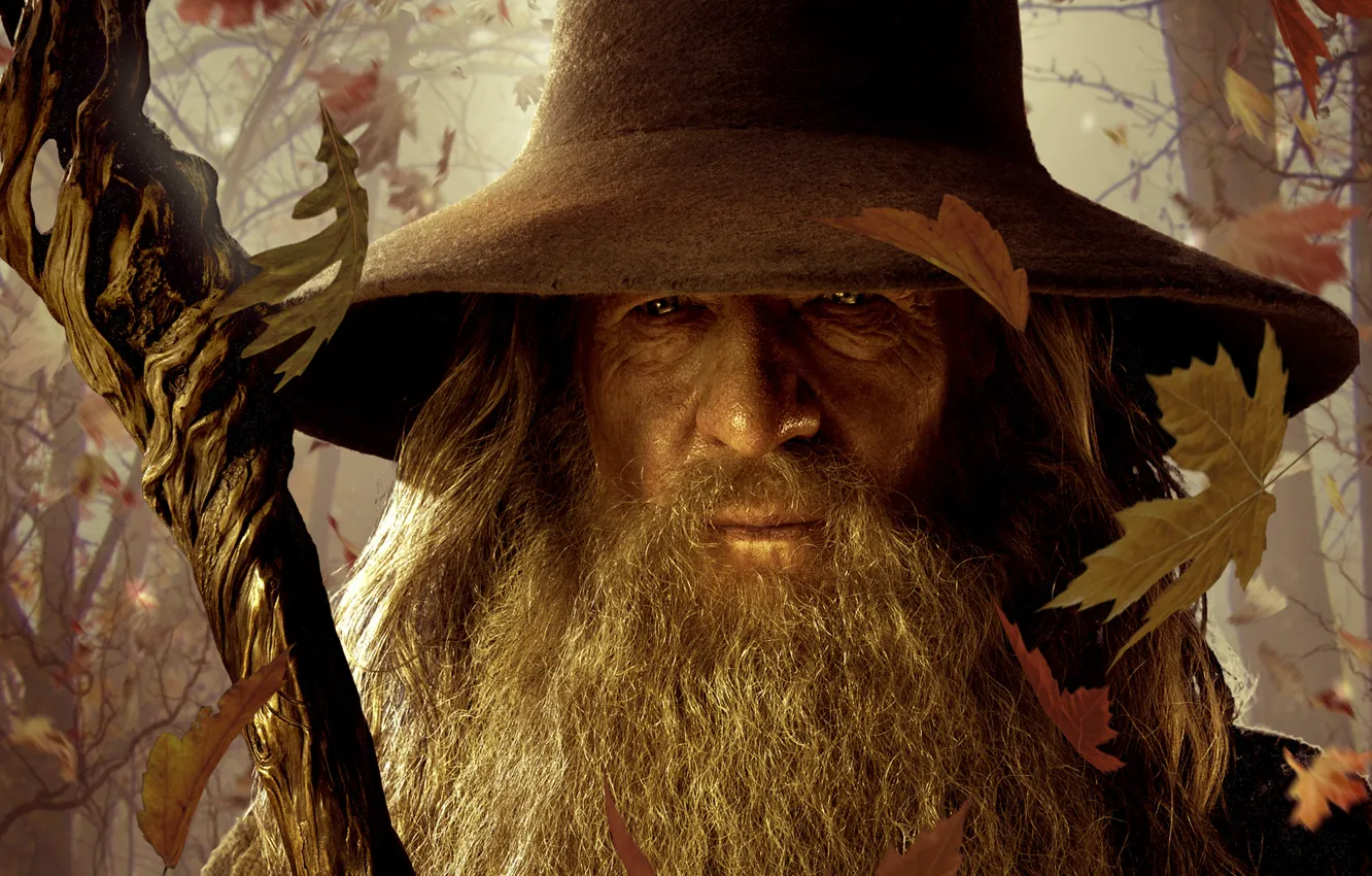 Фото обои Властелин колец, посох, The Lord of the Rings, Gandalf, опавшие листья, Гэндальф, Хоббит Нежданное путешествие, …