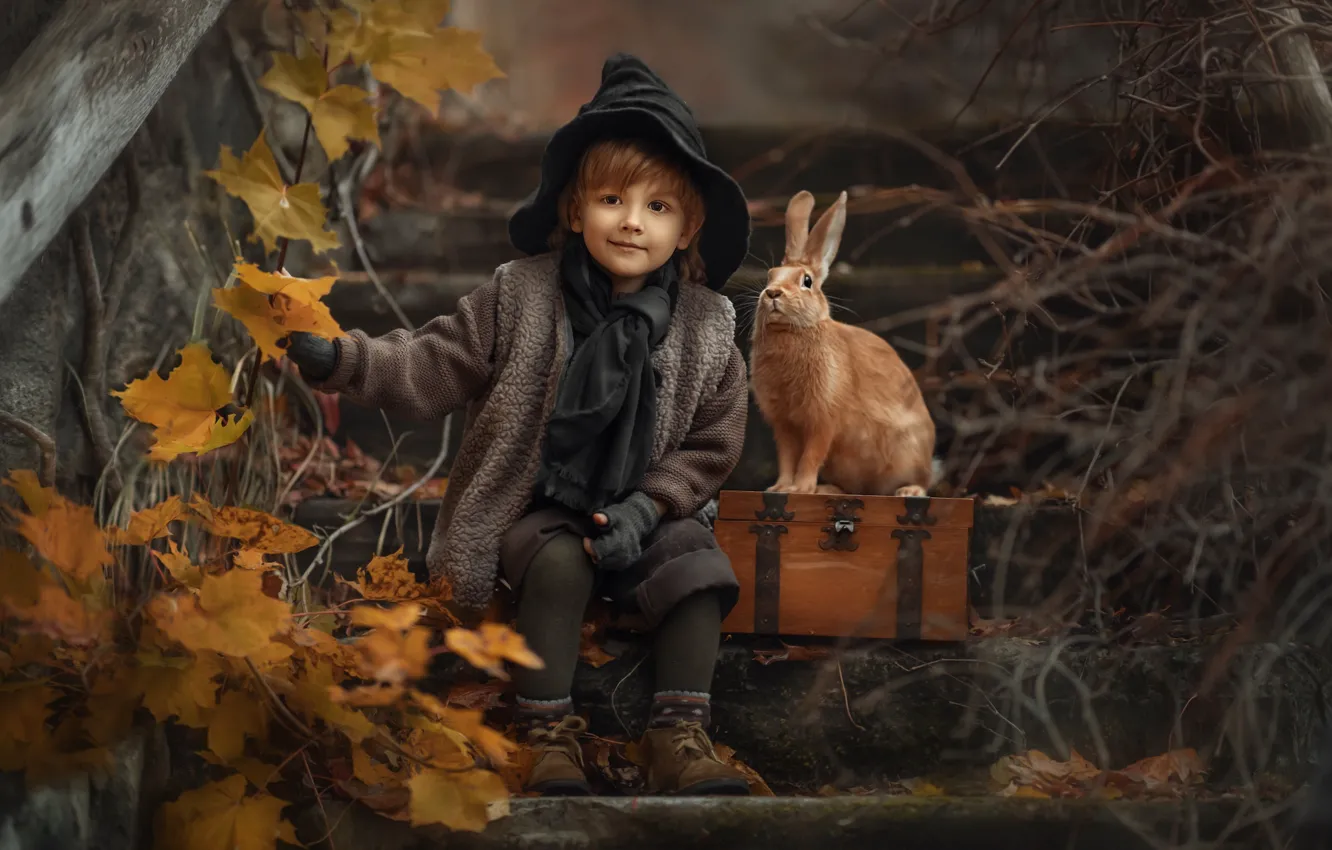 Фото обои осень, листья, ветки, природа, животное, мальчик, кролик, лестница