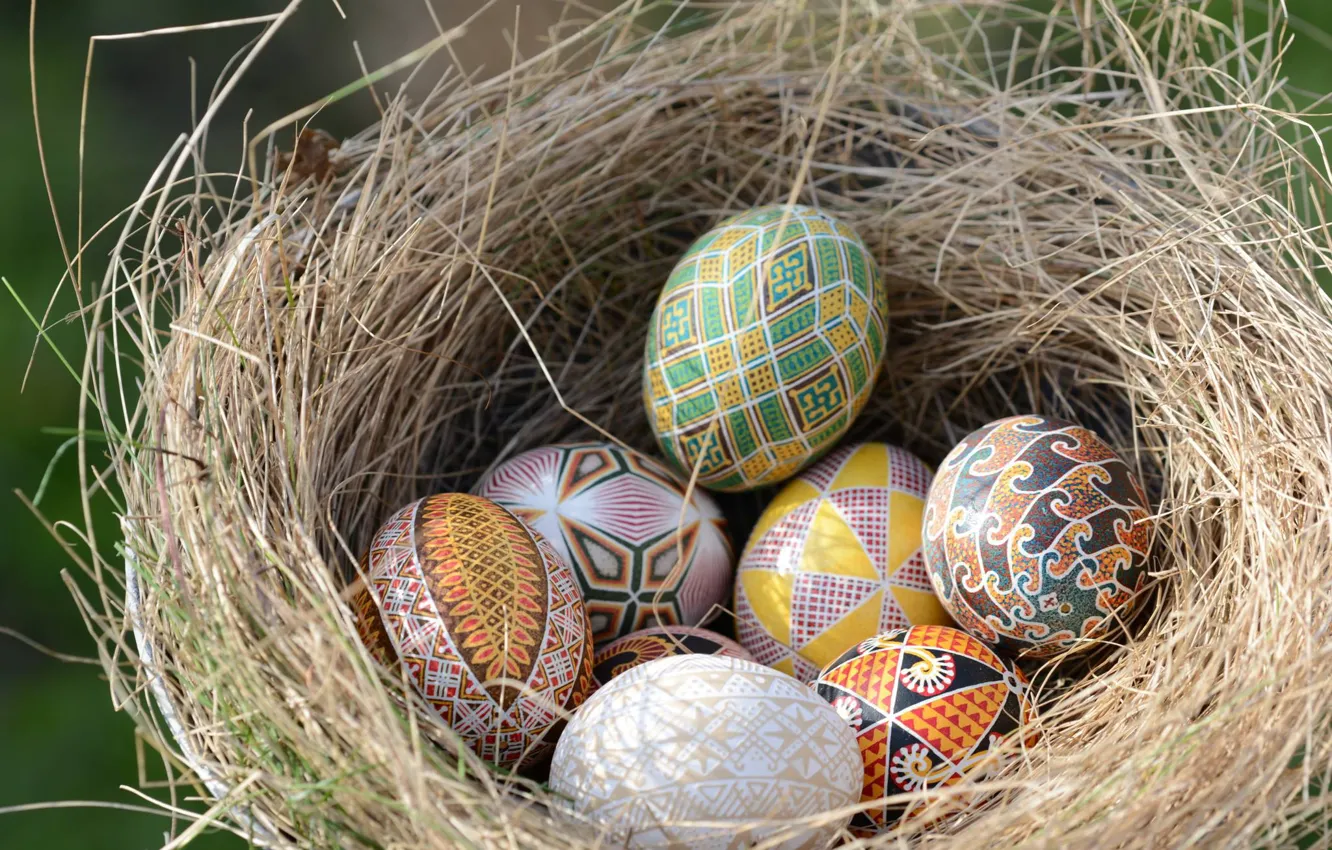 Фото обои яйца, Пасха, гнездо, писанки