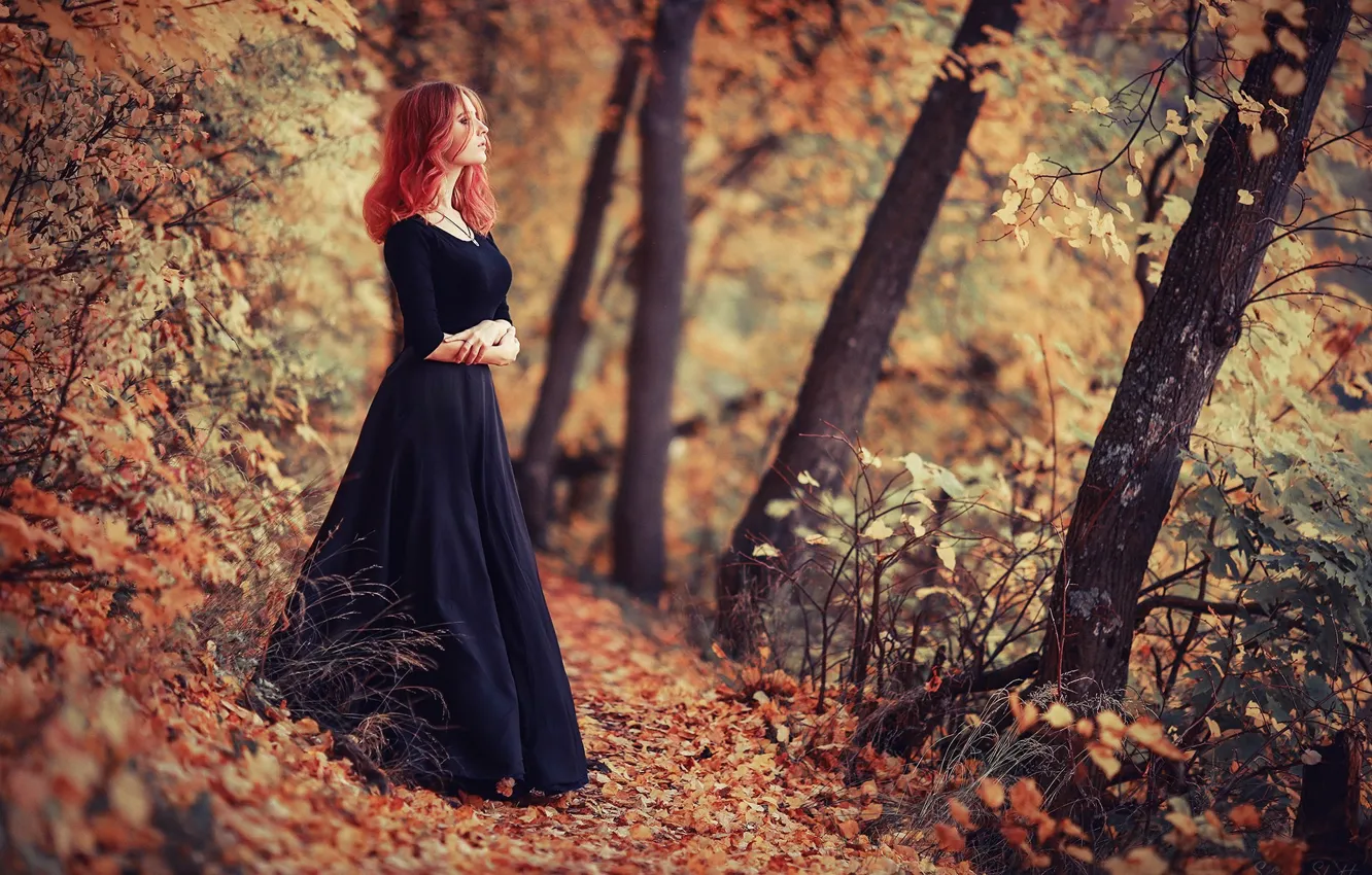 Фото обои осень, девушка, природа, поза, парк, листва, модель, рыжая
