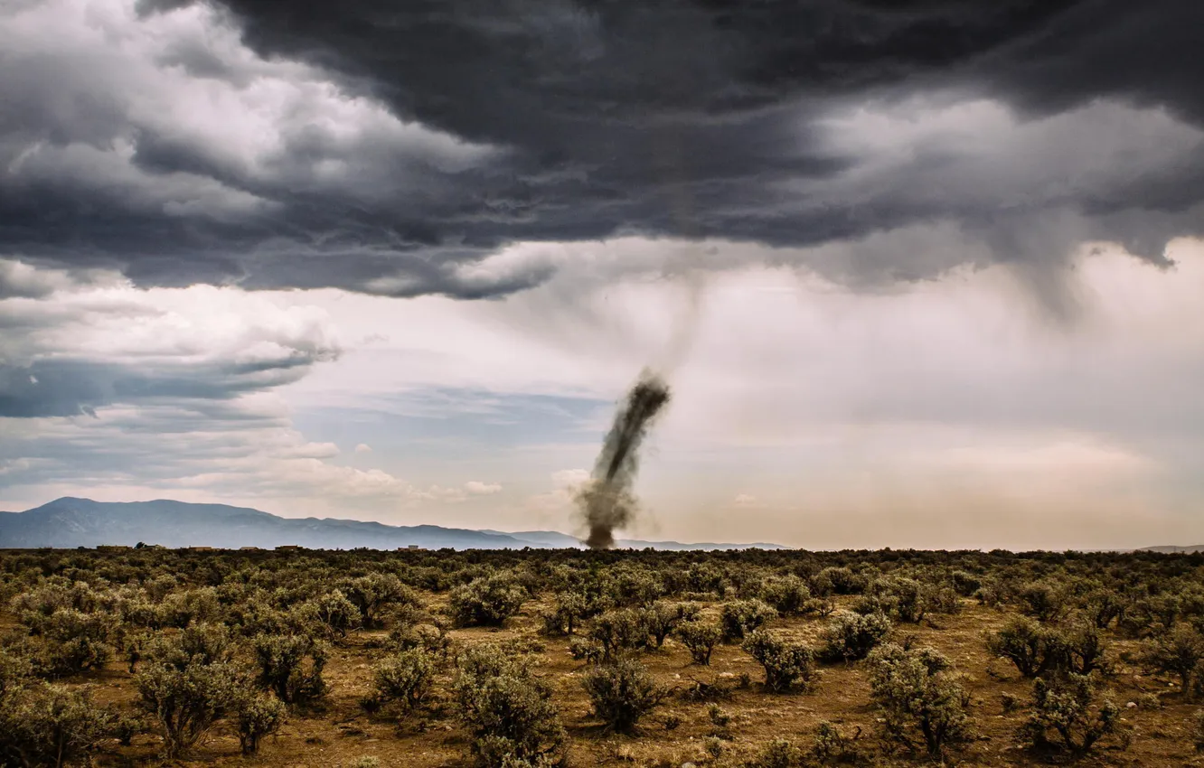 Фото обои поле, New Mexico, смерчь, Taos