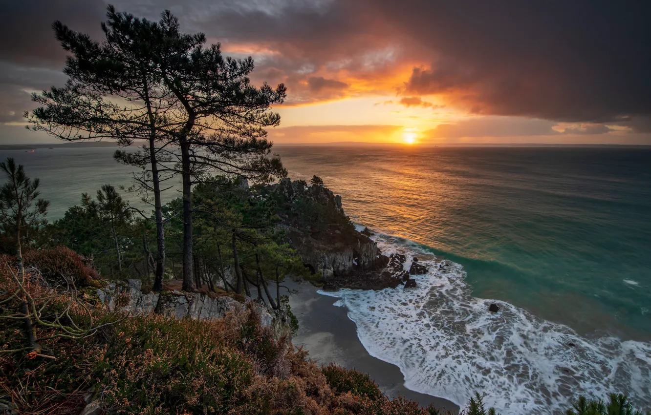 Фото обои деревья, закат, скала, океан, побережье, Франция, сосны, France