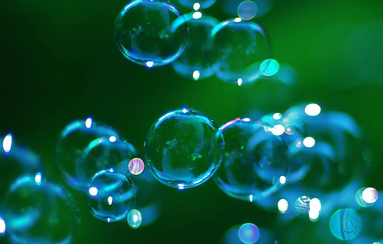 Фото обои зелень, синий, пузыри
