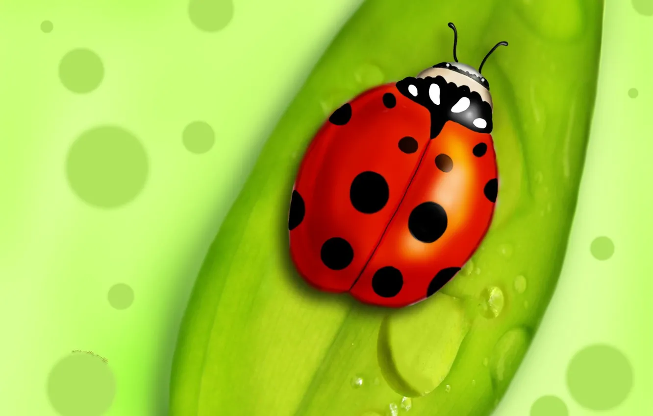 Фото обои лист, рисунок, жук, точки, Зеленый
