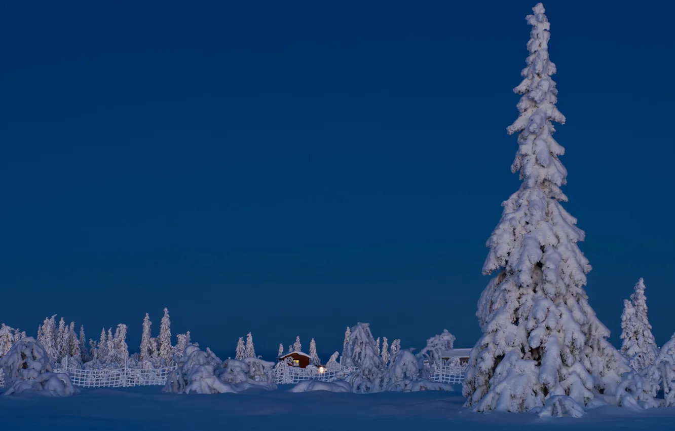 Фото обои зима, снег, деревья, ель, домик, Швеция