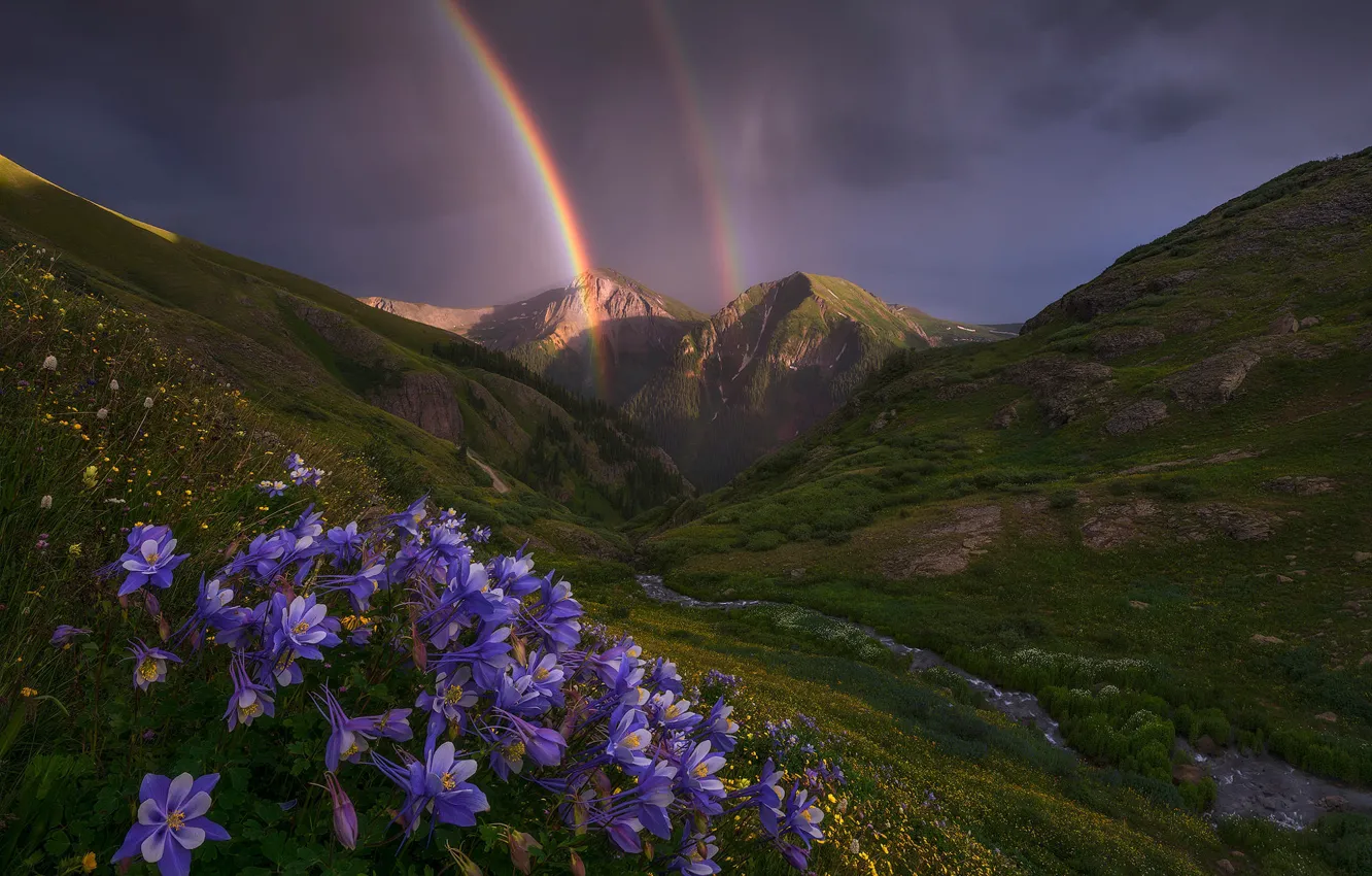 Фото обои пейзаж, цветы, горы, природа, ручей, радуга, долина, Колорадо