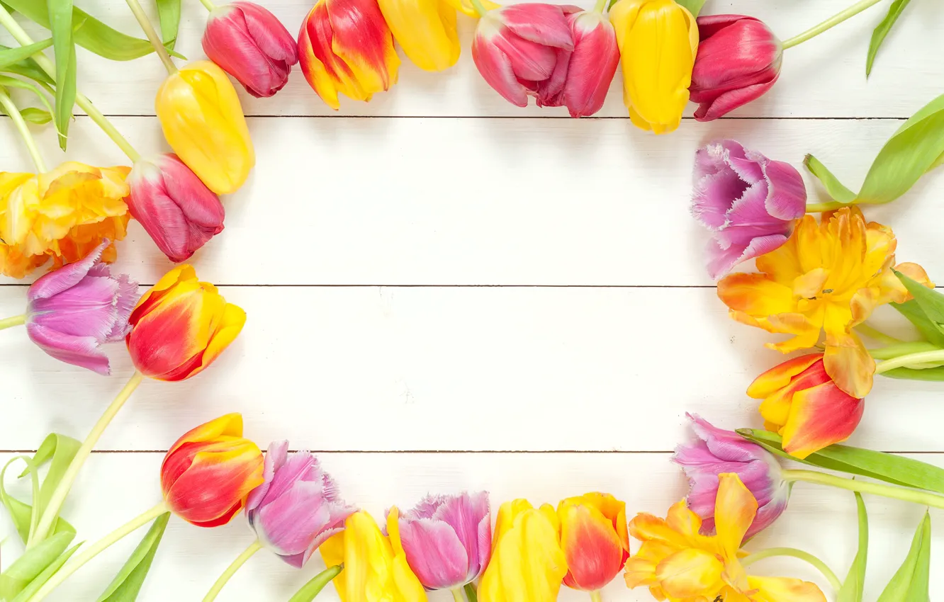 Фото обои цветы, букет, весна, рамка, colorful, тюльпаны, fresh, wood