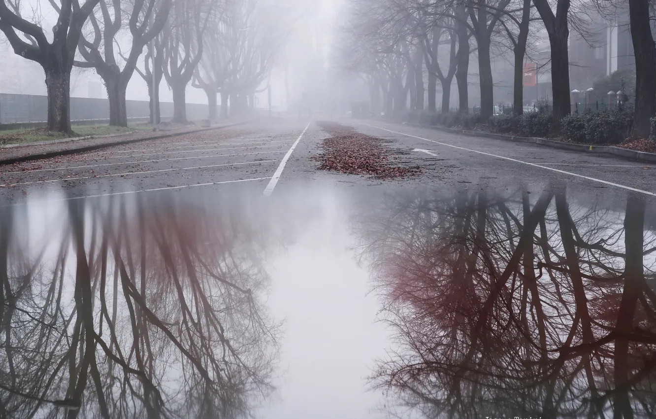 Фото обои город, туман, улица, лужа