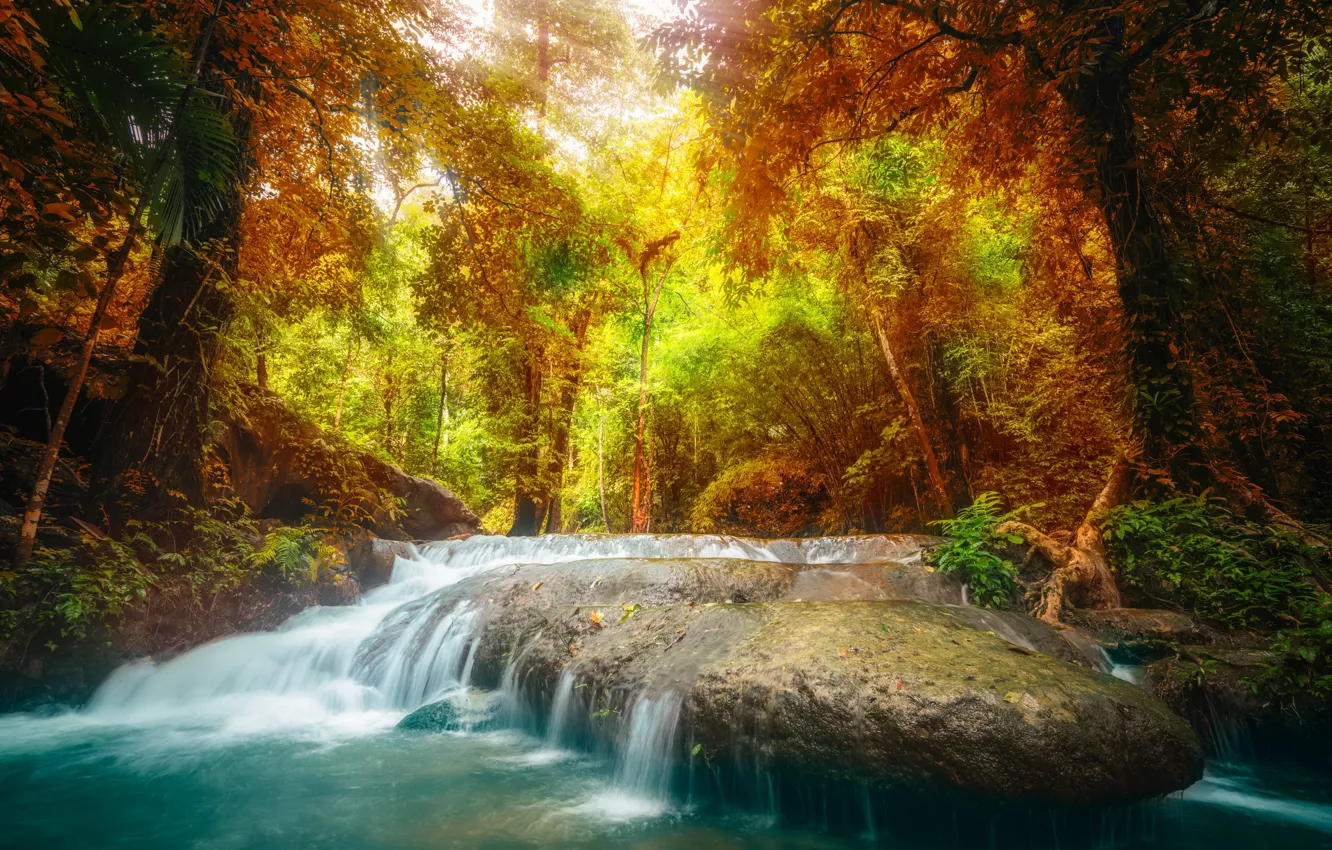Фото обои осень, лес, пейзаж, река, скалы, водопад, forest, river