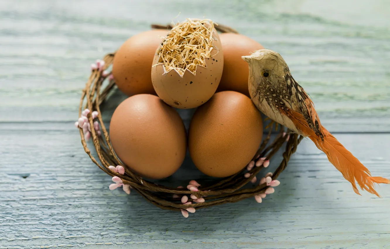 Фото обои птичка, Праздник, венок, пасха яйца