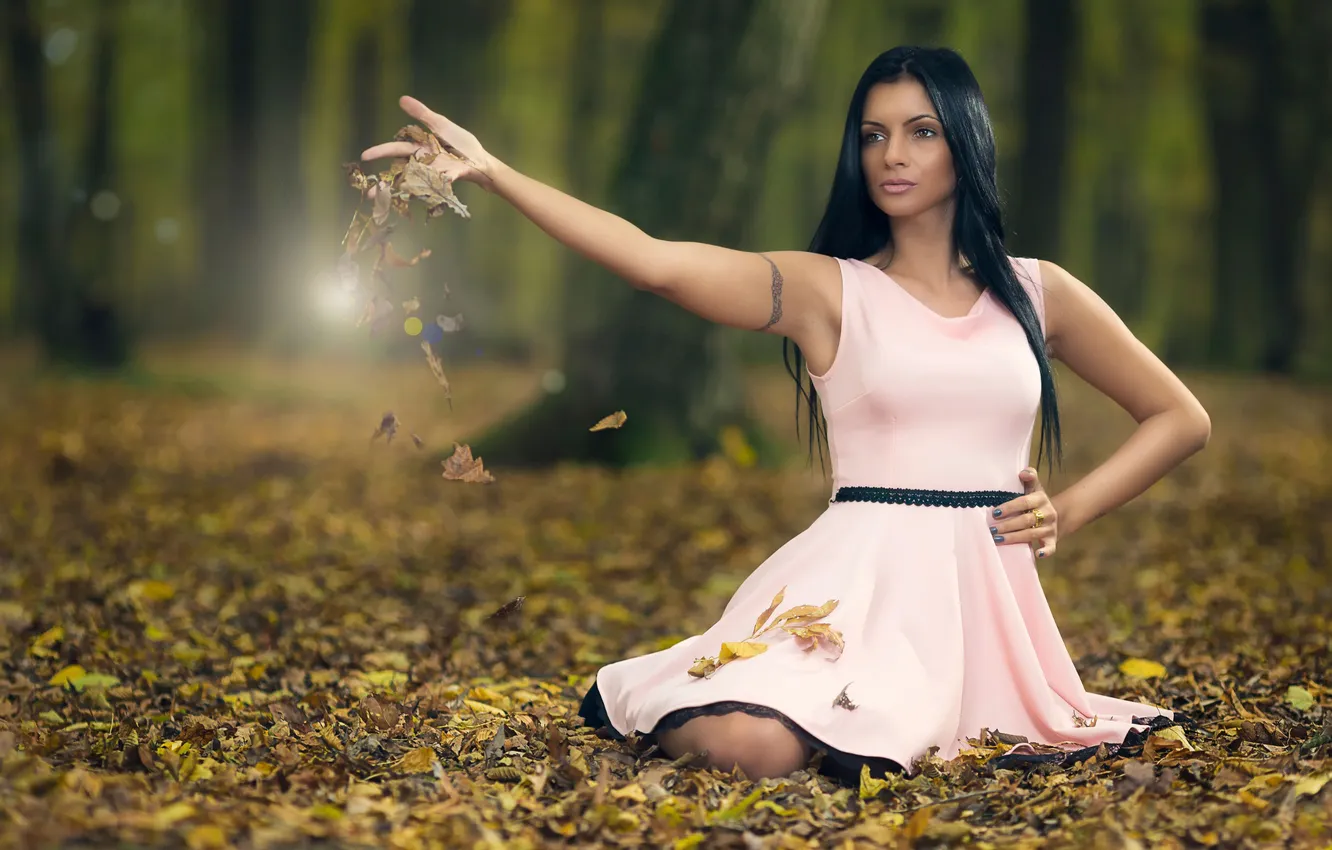 Фото обои осень, лес, листья, платье, Paola