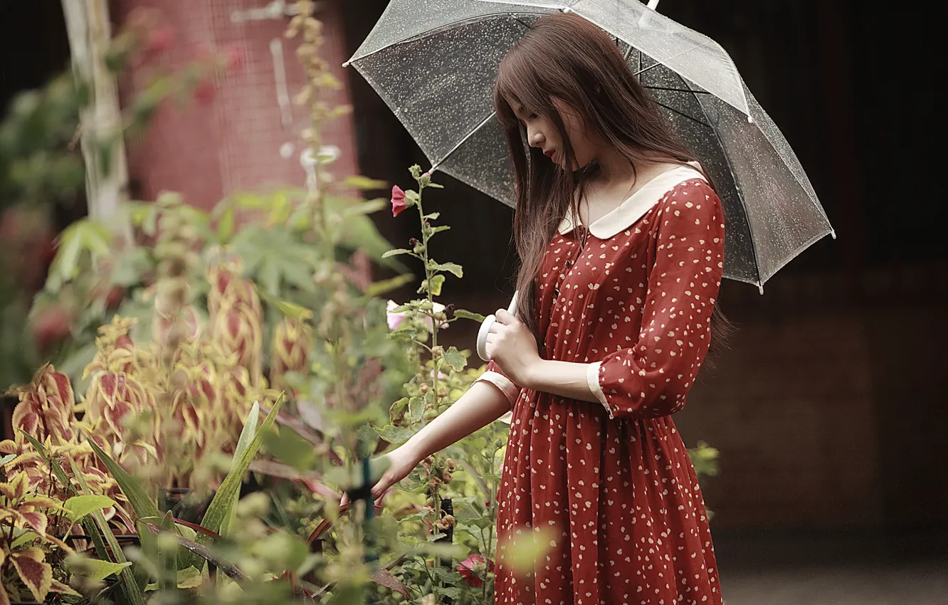 Фото обои девушка, лицо, зонтик, дождь, волосы, платье