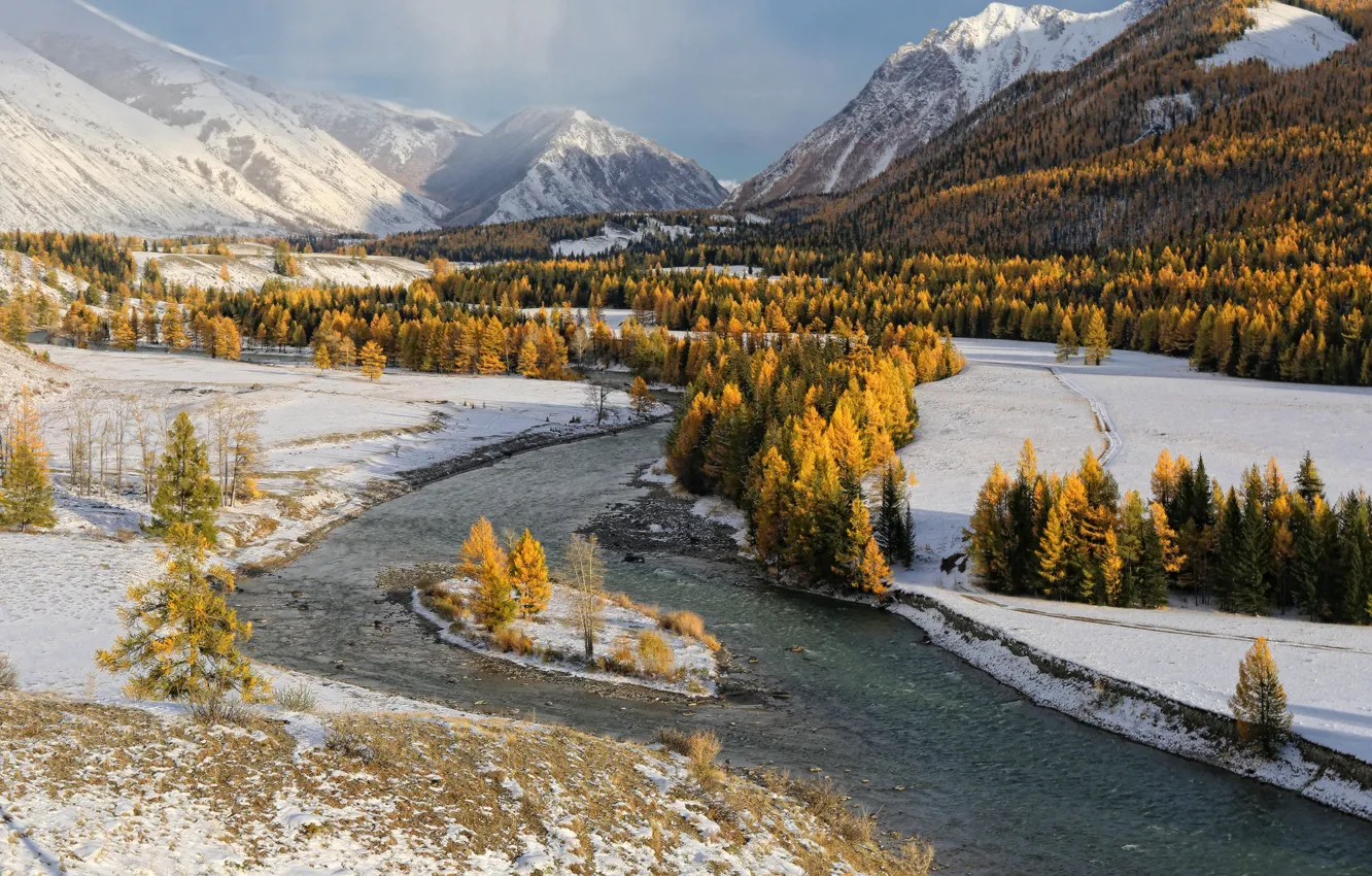 Фото обои river, trees, winter, snow, stones