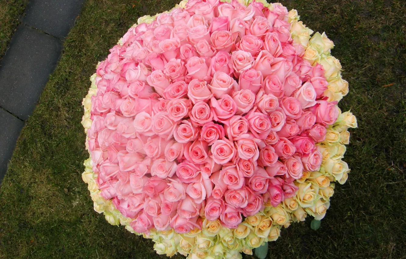 Фото обои розы, букет, розовые, белые