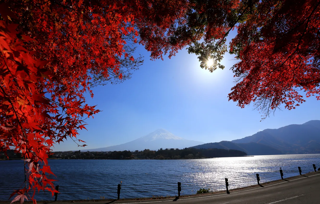 Фото обои дорога, листья, ветки, река, гора, Япония, Mount Fuji, Фудзияма
