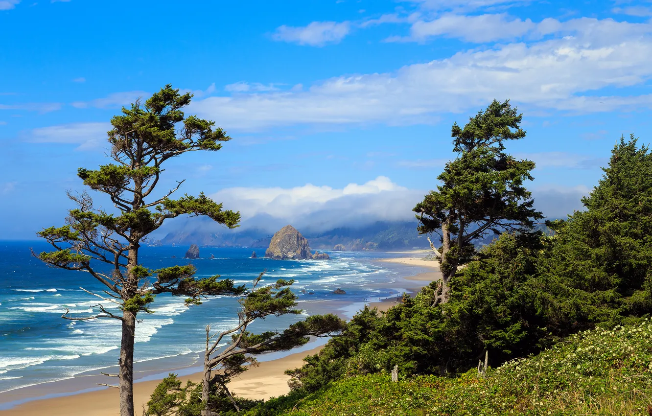 Фото обои море, деревья, побережье, Haystack Rock, Oregon Coast.