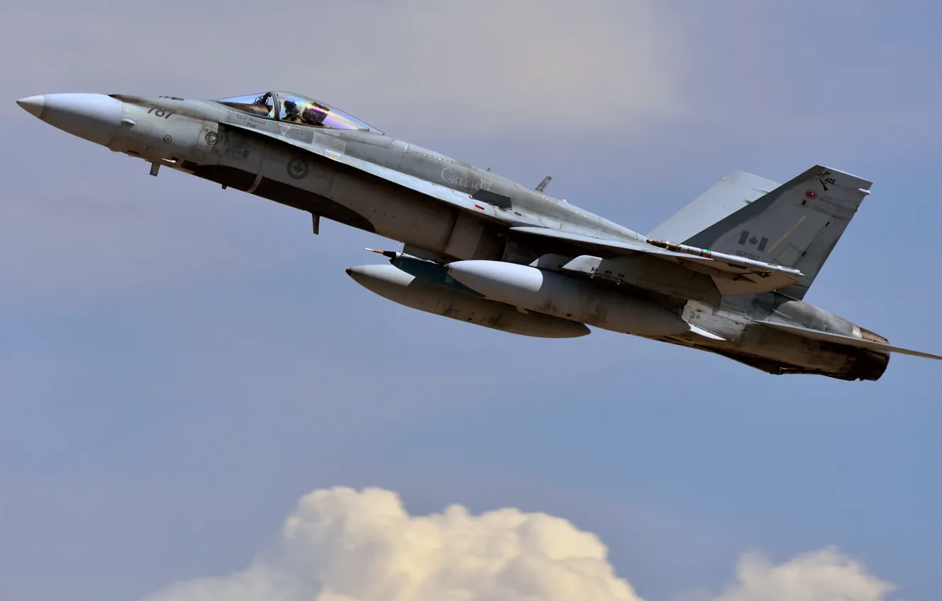 Фото обои шершень, F/A-18, Douglas, Hornet, McDonnell, Канадские ВВС, американский палубный истребитель-бомбардировщик